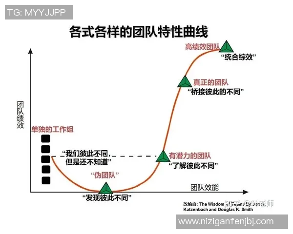 排球焦点：深圳排球队的团队协作探讨