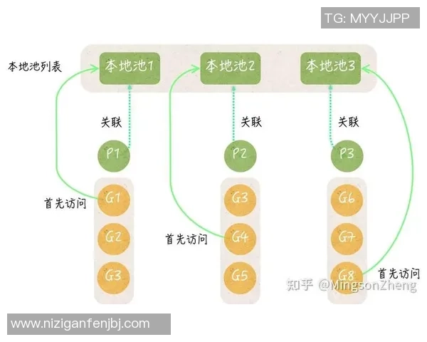 深入分析杭州排球队反击战术的独特魅力与实战应用